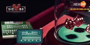 Một vài mẹo chơi xí ngầu mà người chơi nên kết hợp